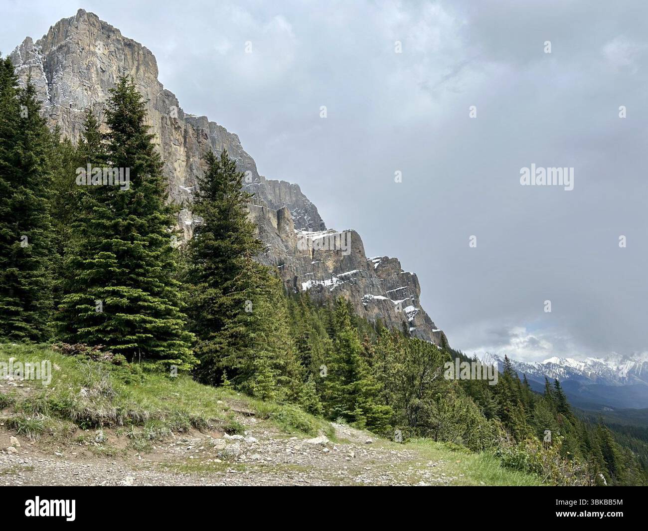 Banff, Canada. 13 février 2024. Castle Mountain, dans le parc national Banff, est montré dans une photo de juin 2023. Une zone sauvage située dans le parc national le plus achalandé du Canada a été fermée après qu'une attaque de cougar a causé des blessures non graves à une personne. Les représentants de Parcs Canada ont publié un bulletin sur Facebook tard hier au sujet d'une fermeture de la zone de Castle Mountain Lookout et de Silverton Falls, y compris Rockbound Lake, dans le parc national Banff. Crédit : la presse canadienne/Alamy Live News Banque D'Images