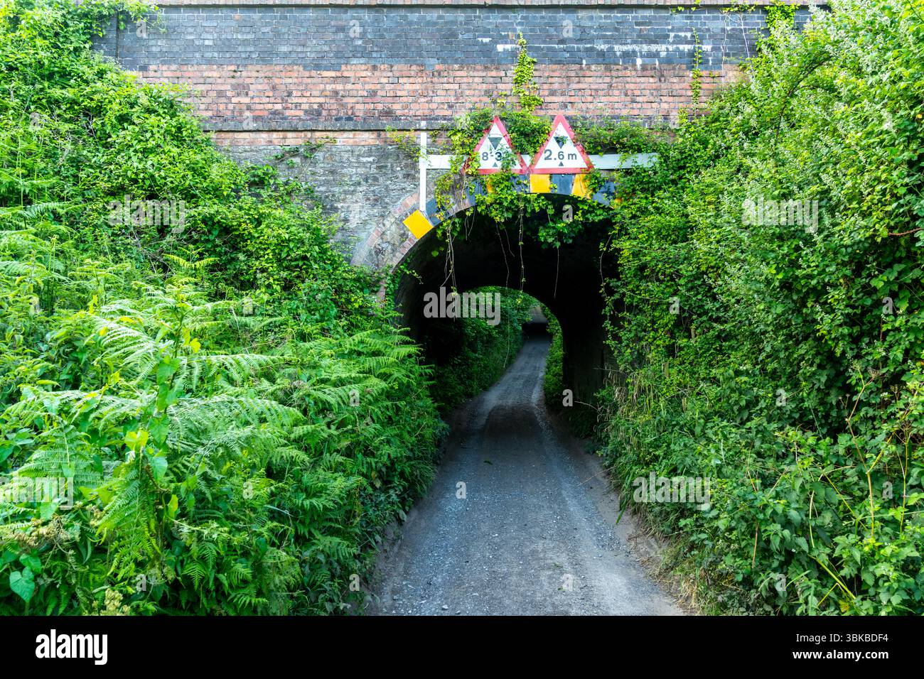 Route de gravier passant sous un pont bas couvert de végétation avec des panneaux de restriction de hauteur, créant une scène rurale pittoresque Banque D'Images