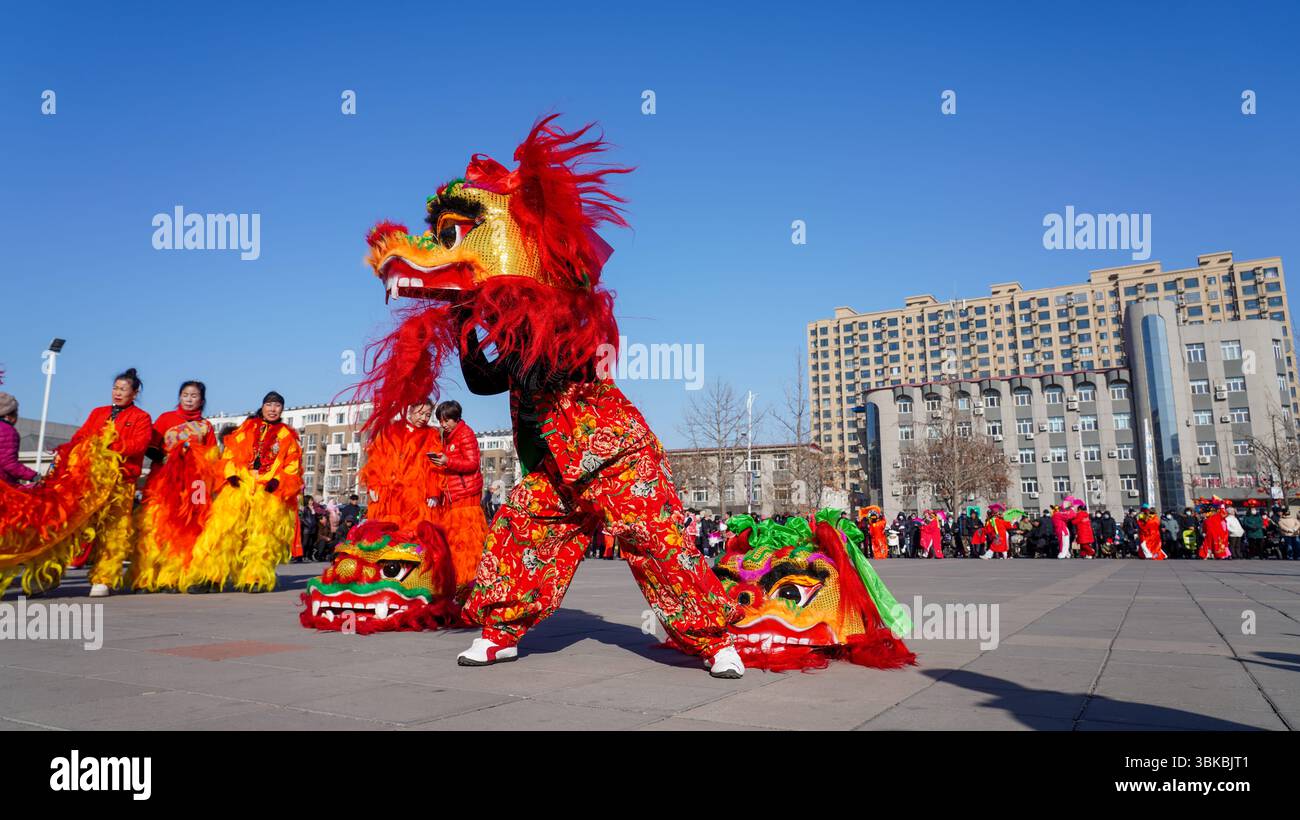 Comté de Luannan, Chine - 13 février 2025 : les gens exécutent des danses du lion sur la place pour célébrer le festival traditionnel chinois - le Festiv des lanternes Banque D'Images