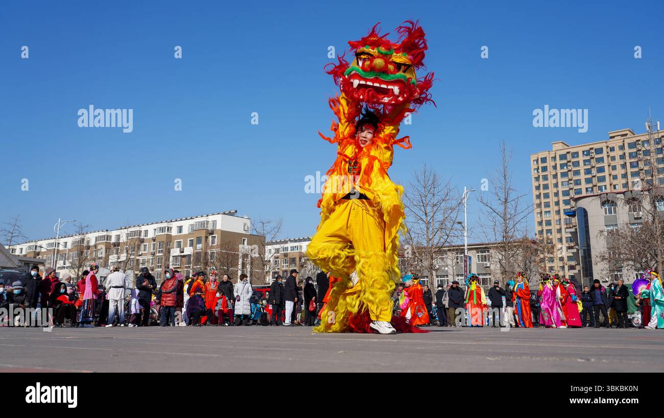 Comté de Luannan, Chine - 13 février 2025 : les gens exécutent des danses du lion sur la place pour célébrer le festival traditionnel chinois - le Festiv des lanternes Banque D'Images
