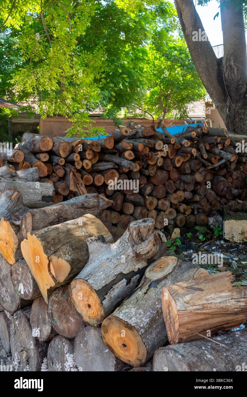 Pile de bûches avec certains d'entre eux ayant une substance blanche sur eux. La pile est composée de différentes tailles de bûches Banque D'Images