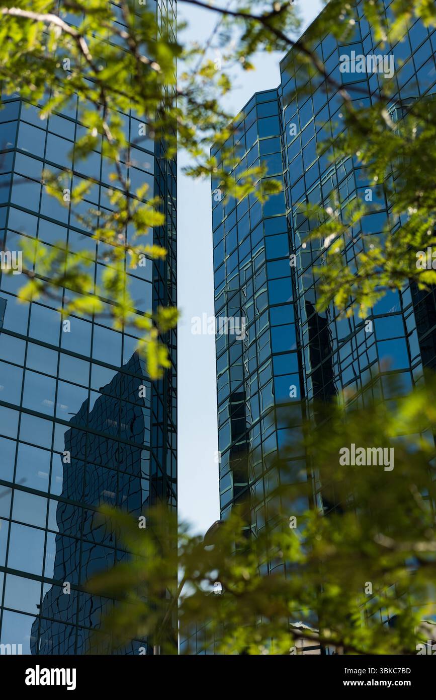 Vue d'immeubles de bureaux à travers des arbres Banque D'Images