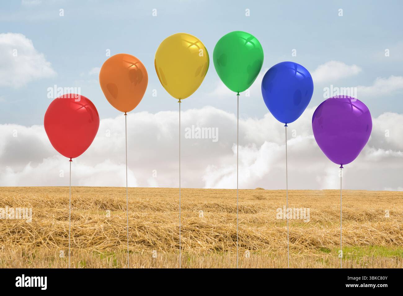 Six ballons colorés sont debout dans le champ de paille récoltée de conception plate avec ciel nuageux Banque D'Images