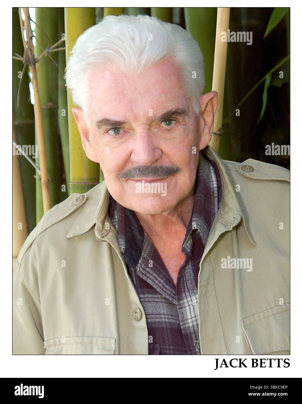 L'acteur Jack Betts pose pour une série de photos professionnelles prises par Sharon Graphics sur Quebec Drive dans les collines Hollywood, Los Angeles, Californie, le 18 juin 2010. La séance de portrait capture Betts dans une gamme d'expressions et de configurations d'éclairage, reflétant son expérience et sa polyvalence dans le cinéma, la télévision et la scène. Banque D'Images