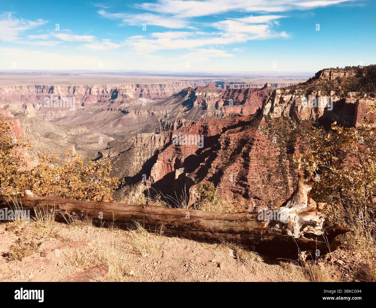 Plateau nord du Grand Canyon, beauté sauvage et vues majestueuses Banque D'Images