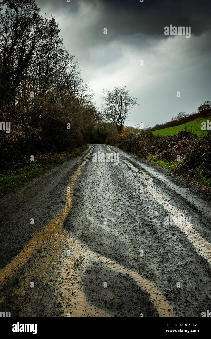 Une route rurale sinueuse montre des signes de fortes pluies, avec des flaques se formant le long de sa surface.Puy de Dôme. Auvergne. France Banque D'Images