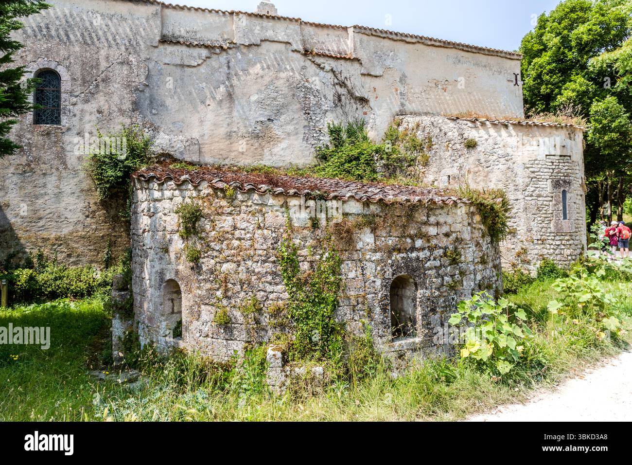 L'église romane Saint-Martin sur l'Île d'Aix, l'un des plus anciens édifices religieux de l'île, datant du XIIe siècle. Le bâtiment, construit en calcaire coquillé et partiellement recouvert de lierre, se trouve près du Quai aux vivres sur la côte ouest de l’île. Rue Quai aux vivres, Île-d'Aix, Charente-maritime, Nouvelle-Aquitaine, France Banque D'Images