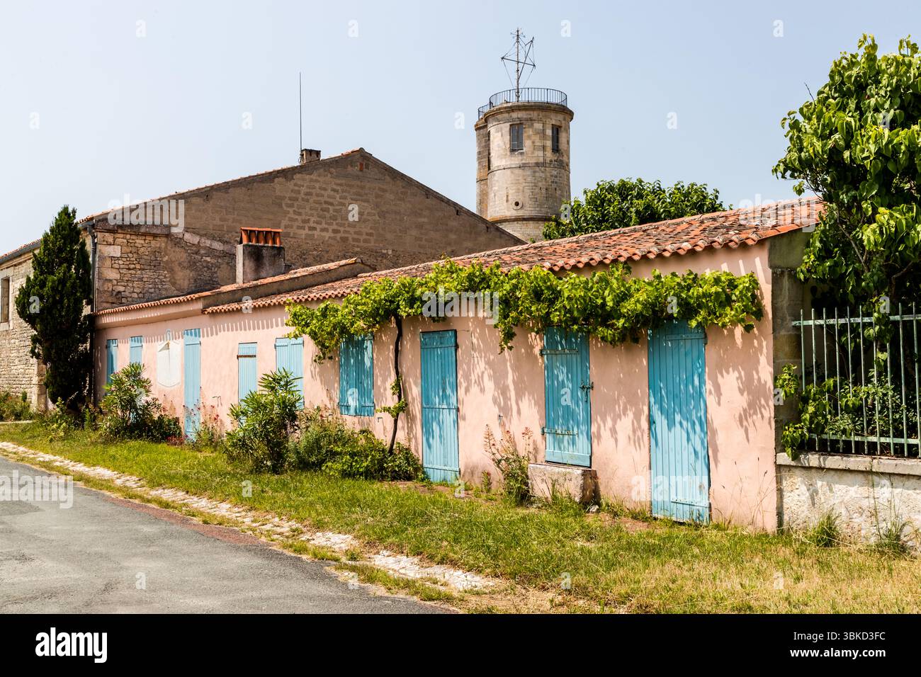 Une rangée de maisons aux volets et portes turquoise se dresse sur la Rue Marengo à Le Bourg, le village fortifié sur l'île d'Aix (Île d'Aix), Charente-Maritime, Nouvelle-Aquitaine, France. Les maisons enduites de rose ont des toits de tuiles, et une plante grimpante pousse au-dessus des portes. Derrière elles s'élève la tour ronde de l'ancien sémaphore avec son mât de signalisation. La station de signalisation surveillait la navigation au large de l'île et communiquait avec les navires jusqu'à ce qu'elle soit mise hors service dans les années 1980. Aujourd'hui, la tour et ses dépendances abritent le centre communautaire de l'île et son petit cinéma. Le village abrite sig Banque D'Images
