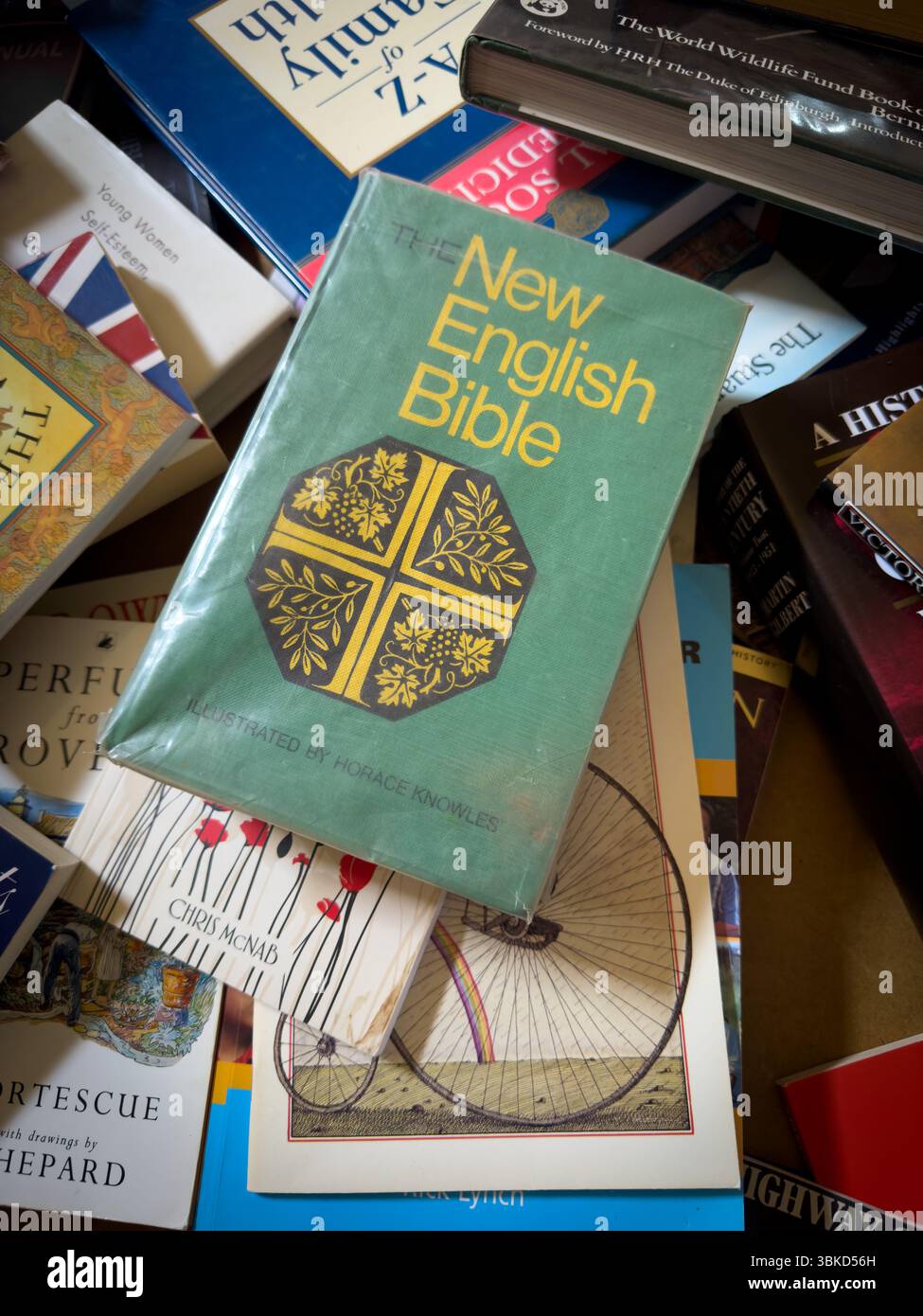 19 juin 2025 - Cambridge, Royaume-Uni - Un nouveau livre biblique anglais se démarquant dans une pile de livres de seconde main dans un groupe d'entraide Banque D'Images