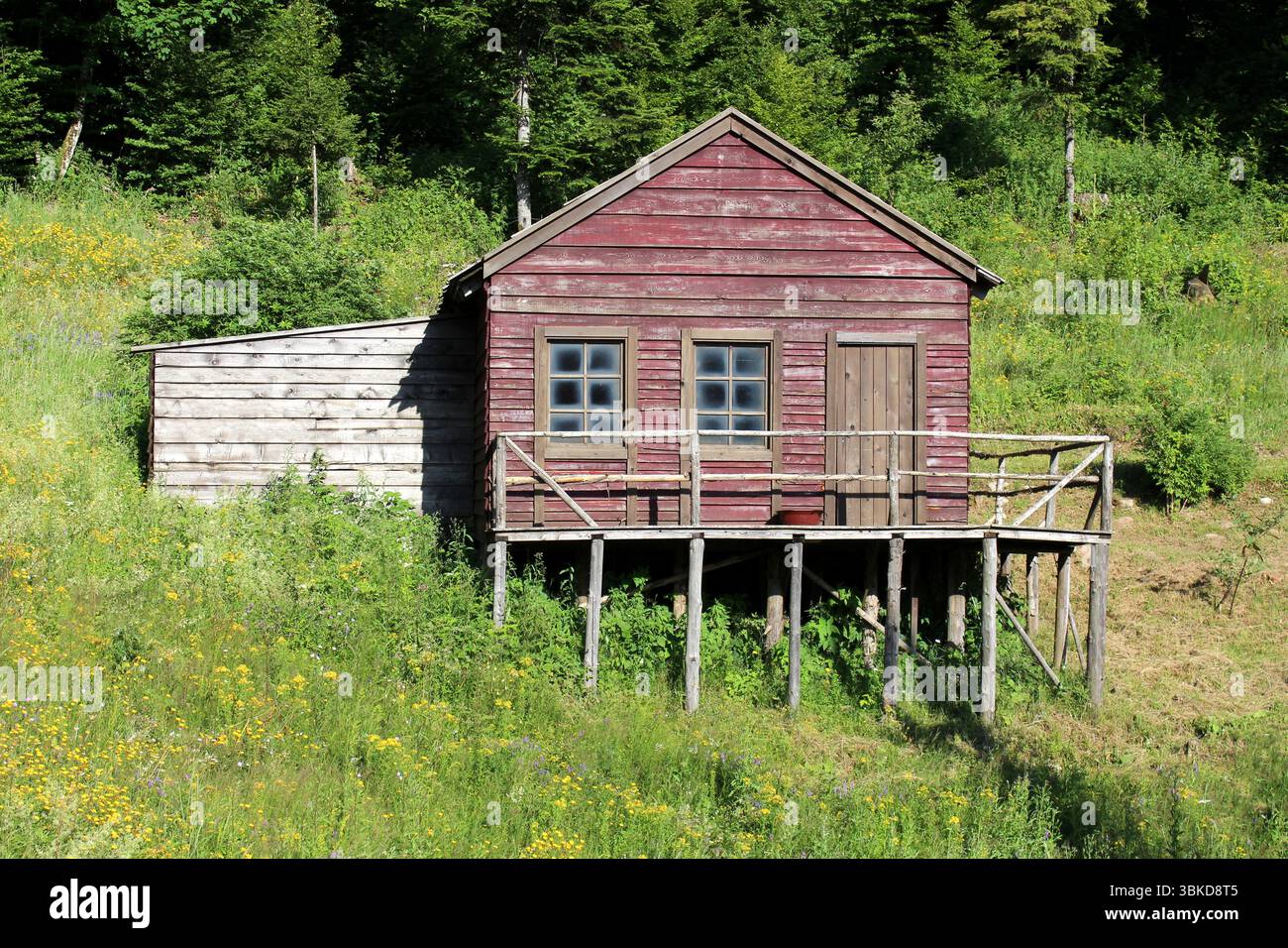 Vieille cabane en bois rouge avec peinture fanée et porche simple se dresse sur de hauts pilotis, attaché à un hangar pâle, entouré de fleurs sauvages et d'herbe sur un ensoleillé Banque D'Images