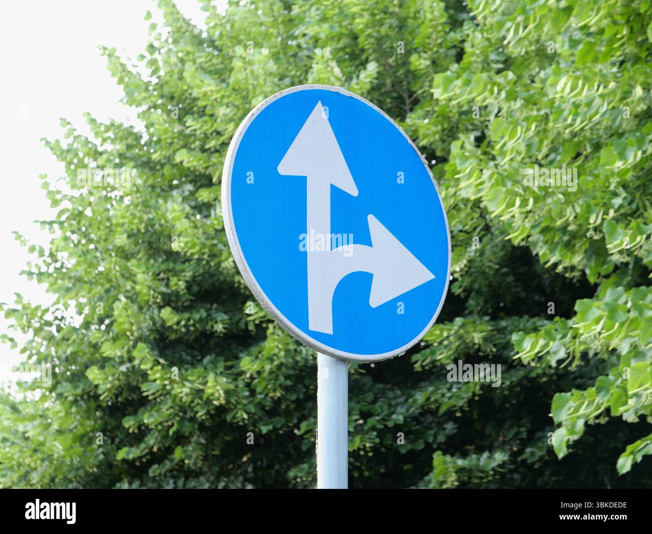 Panneaux de réglementation, suivez la direction indiquée par les flèches du panneau de signalisation Banque D'Images