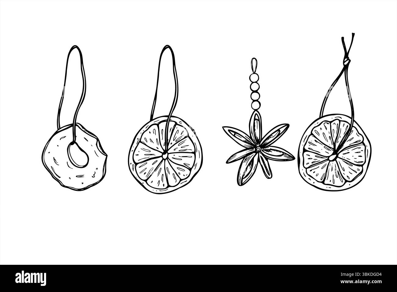 Tranches de pomme et d'orange séchées, étoiles d'anis suspendues sur des cordes noir et blanc ensemble de vecteur. Décor de fruits d'hiver fait à la main pour Noël scandinave Illustration de Vecteur