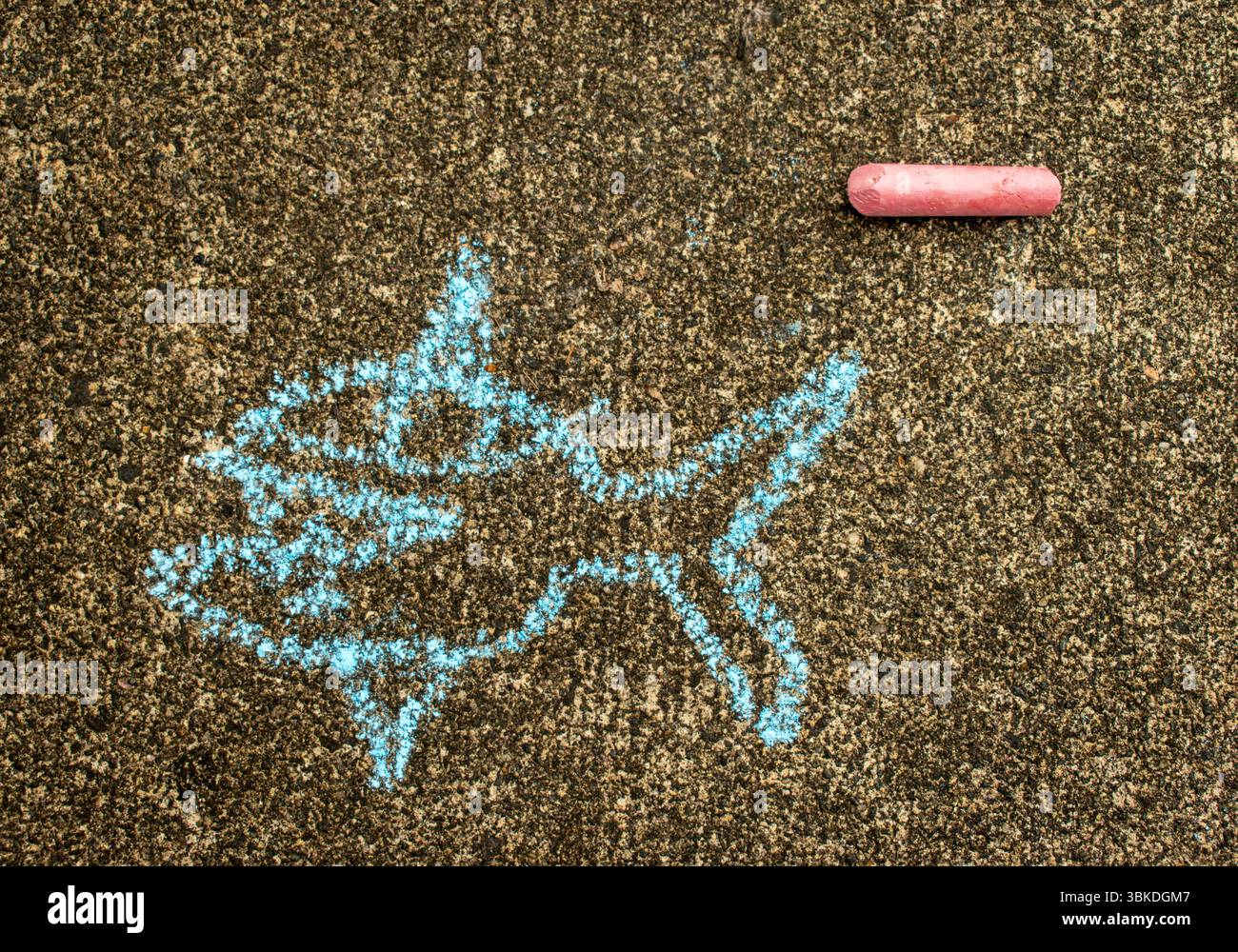 un poisson à la craie dessiné sur le trottoir Banque D'Images