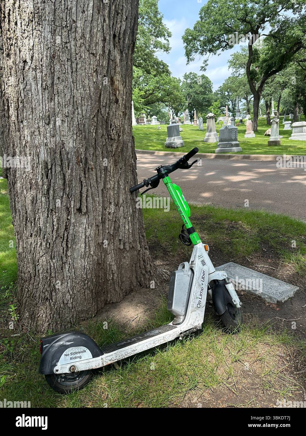 Un scooter partagé Lime appuyé contre un arbre dans un cimetière. Banque D'Images
