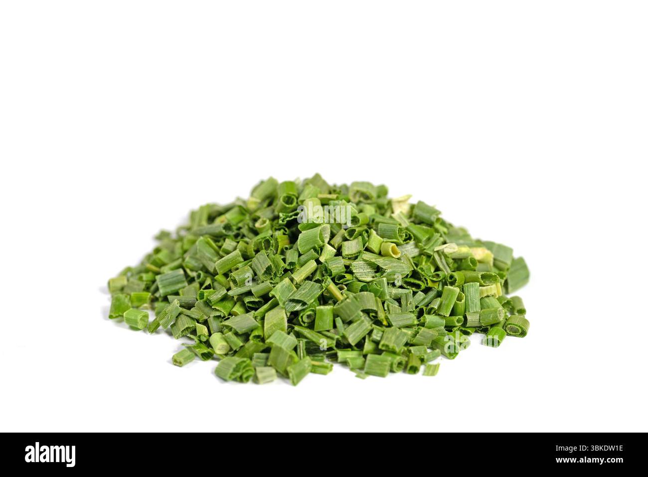 Ciboulette, Allium schoenoprasum, en gros plan Banque D'Images