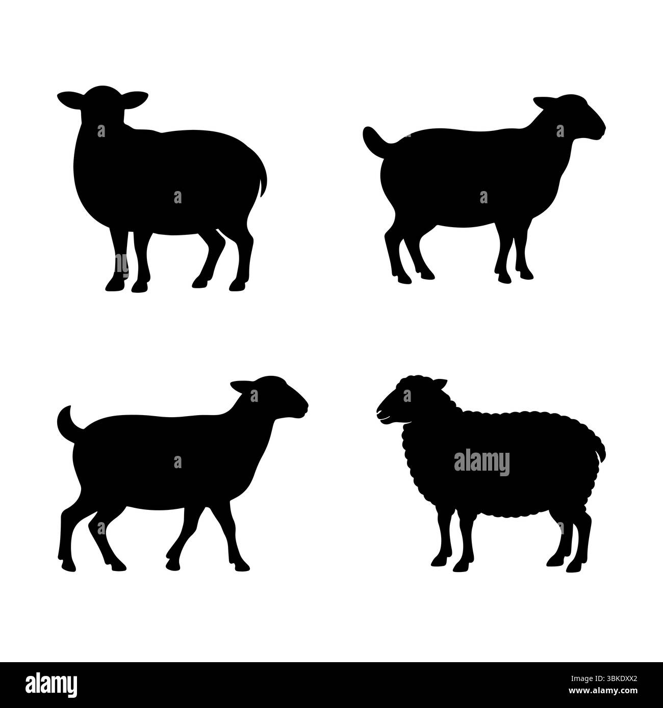 Faisceau vectoriel de silhouette de mouton, debout, sauter, herbe mangeant toute la pose Illustration de Vecteur