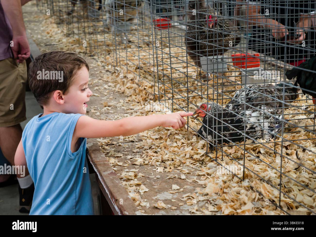 Enfant avec poulet Woodstock Fair   Woodstock, Connecticut, États-Unis Banque D'Images