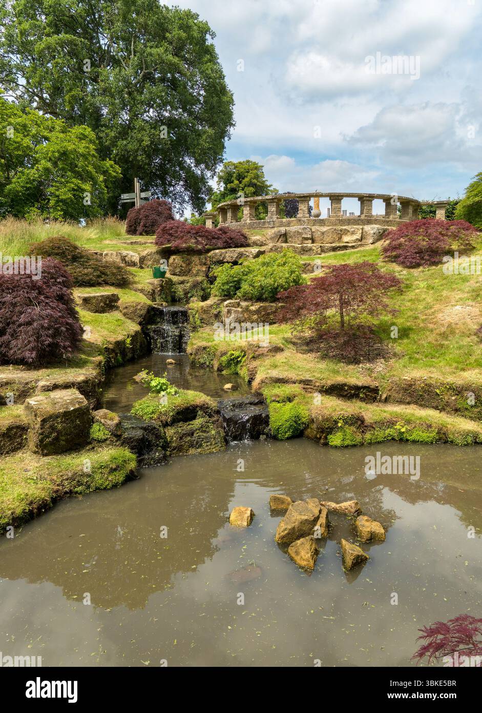 Étang, ruisseau et cascades dans le jardin aquatique à RHS Wakehurst en juin, West Sussex, Angleterre, Royaume-Uni. Banque D'Images