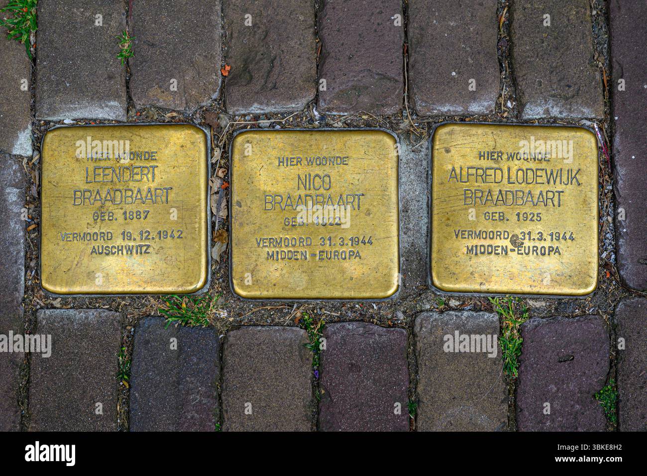 Plaques commémoratives de l'Holocauste, Dordrecht, pays-Bas Banque D'Images