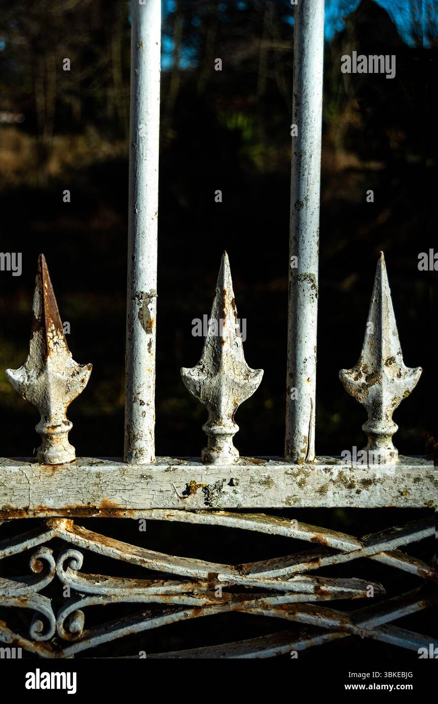 Une vue rapprochée d'une porte en fer vintage avec des pointes décoratives, mettant en valeur la rouille et l'usure au fil du temps. Puy de Dôme, Auvergne, France Banque D'Images