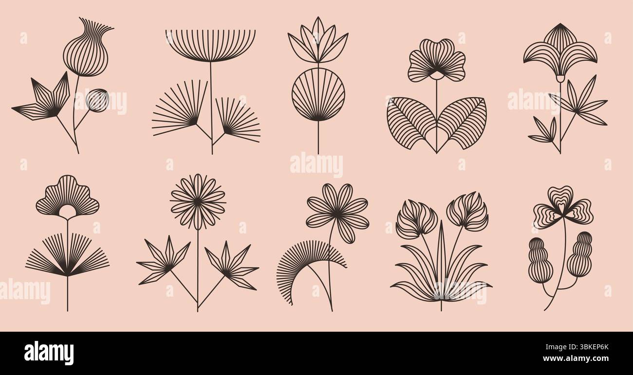 Fleurs bohémiennes linéaires. Art floral au trait, plantes en fleurs de style bohème avec fleurs et feuilles géométriques. Vecteur botanique isolé abstrait Illustration de Vecteur