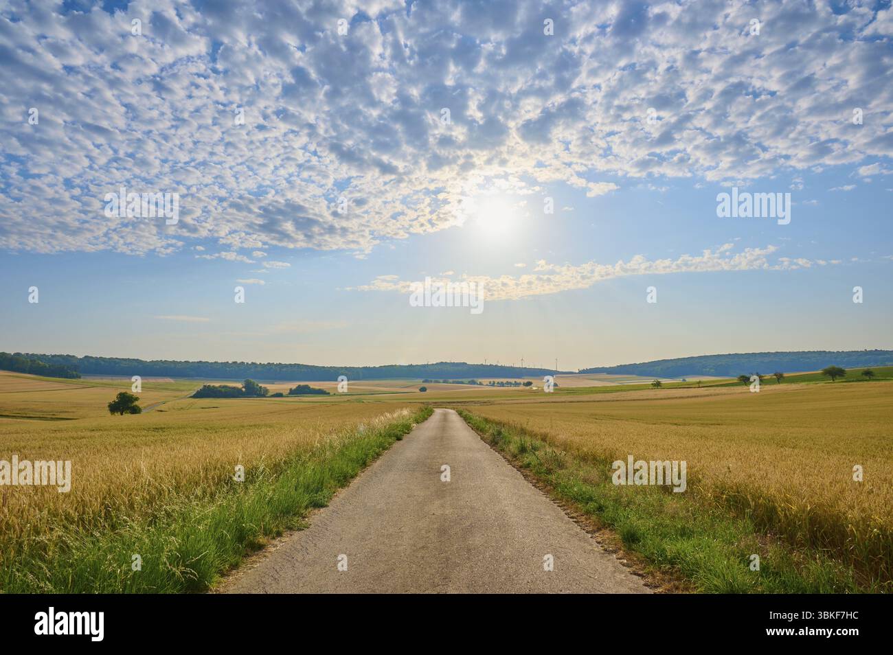Une route de campagne mène à travers de larges champs, le ciel est nuageux et ensoleillé, l'été, Hoehefeld, Wertheim, Bade-Wuerttemberg, Allemagne, Europe Banque D'Images