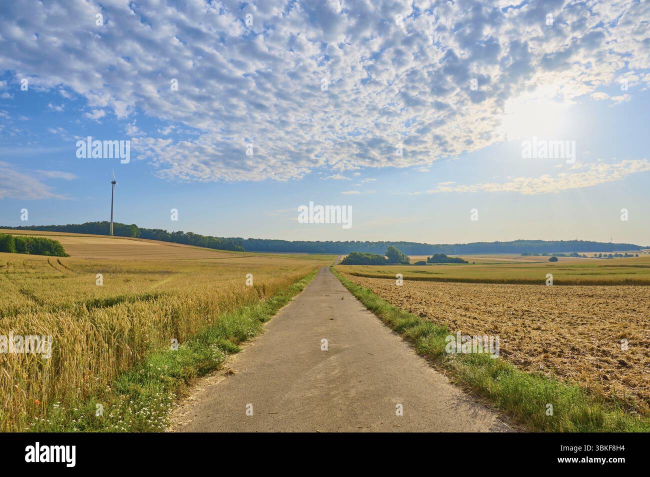 Une piste goudronnée entre les champs sous un ciel ensoleillé et nuageux, été, Hoehefeld, Wertheim, Bade-Wuertemberg, Allemagne, Europe Banque D'Images