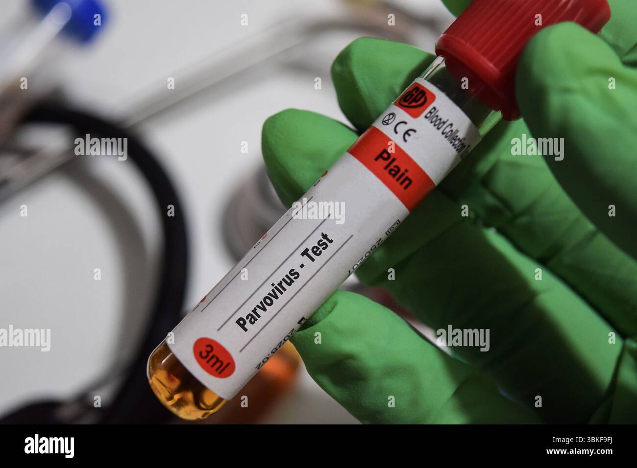 Parvovirus - test avec échantillon de sang. Vue de dessus isolé sur le bureau. Santé ou concept médical Banque D'Images