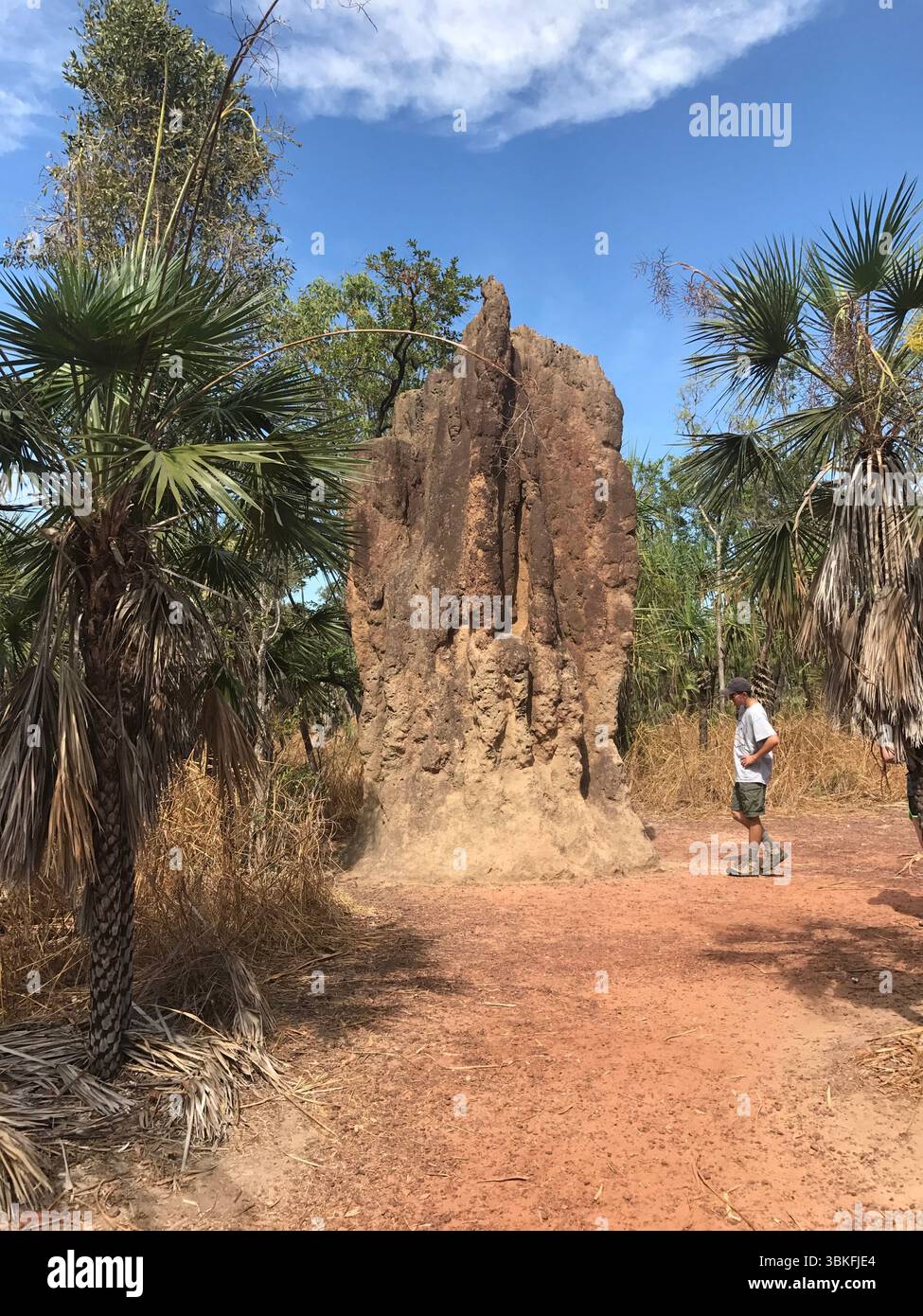 Territoire du Nord, parc national de Kakadu, Katherine gorge., Australie Banque D'Images