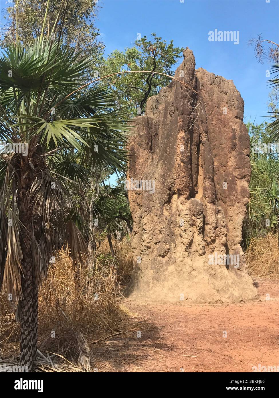 Territoire du Nord, parc national de Kakadu, Katherine gorge., Australie Banque D'Images