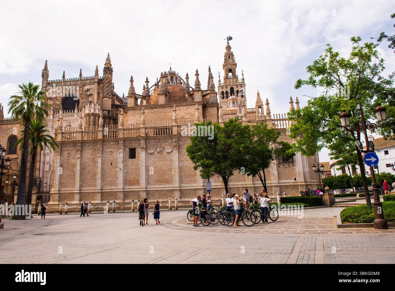 Séville, Espagne-15 juin 2025 : un groupe de touristes sur une visite à vélo s'arrête derrière la cathédrale de Séville, la Giralda. Banque D'Images