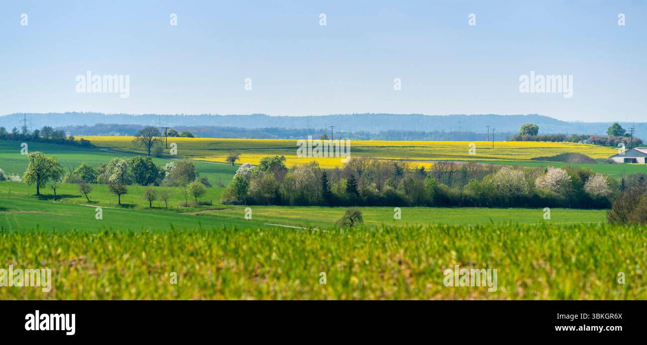Paysage rural panoramique à Hohenlohe, une région du sud de l'Allemagne au printemps Banque D'Images