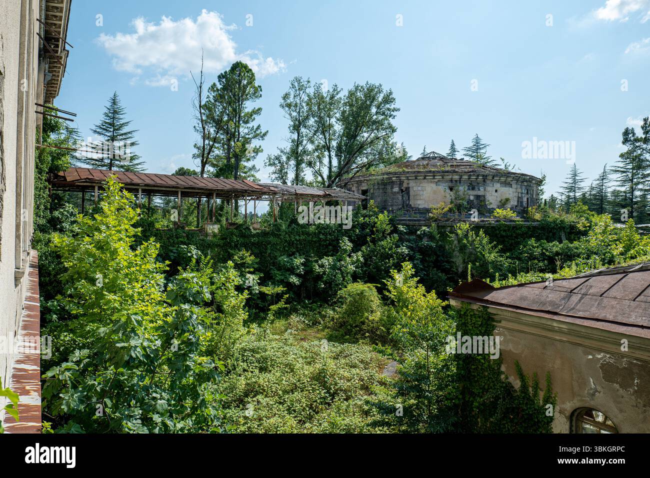 Bâtiments abandonnés entourés d'une végétation luxuriante lors d'un jour ensoleillé lumineux à Tskaltubo, Géorgie Banque D'Images