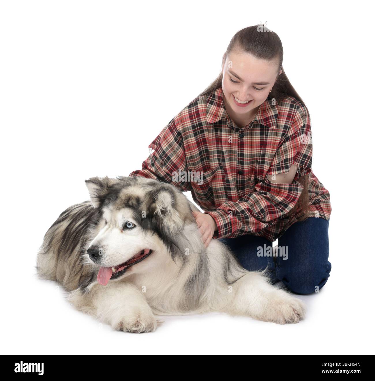 Femme avec son beau chien Malamute d'Alaska sur fond blanc Banque D'Images