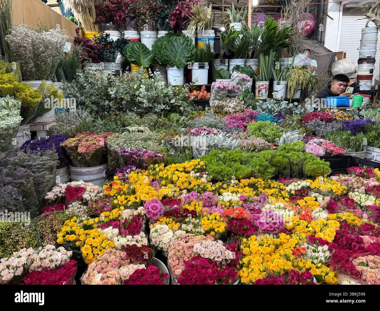 Stand de fleurs, Mercado Jamaica, l'un des marchés publics traditionnels de Mexico. CDMX, Mexique Banque D'Images