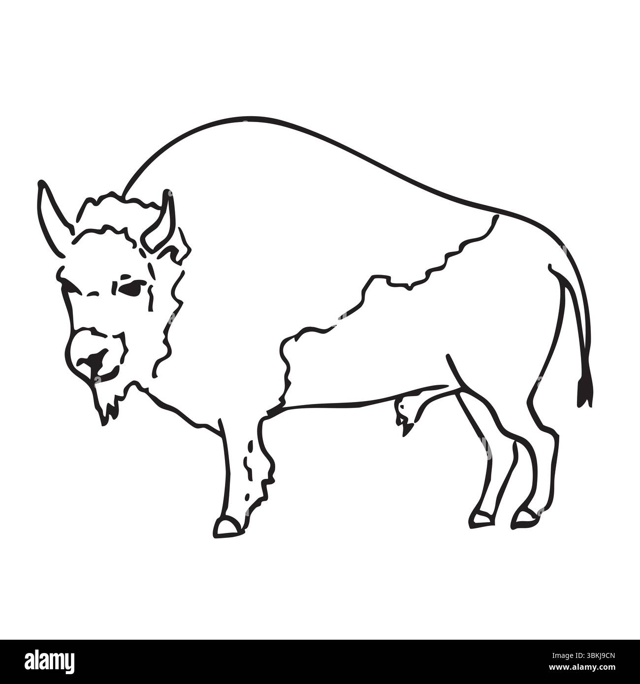 Dessin à la main de vecteur occidental doodle de bison, buffle américain. Illustrations au trait avec une atmosphère de Far West. Illustration de Vecteur