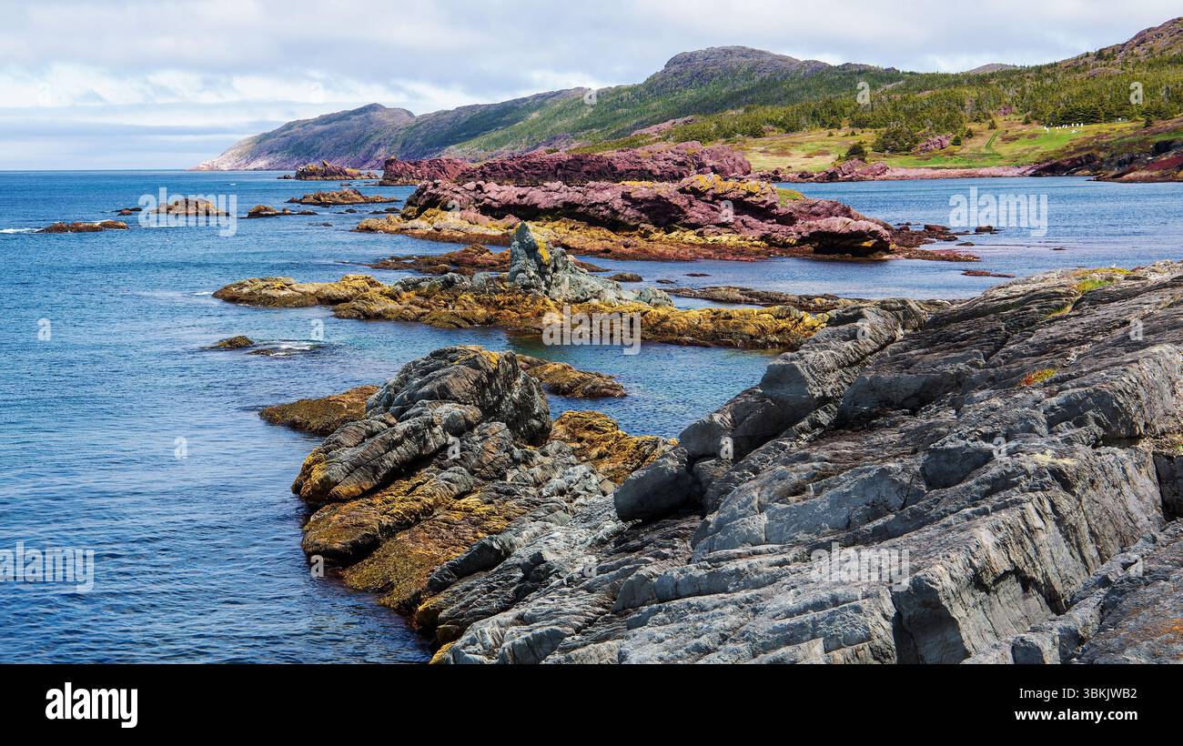 Les couleurs de Tickle Cove sont reidiculeusement vibrantes. Banque D'Images