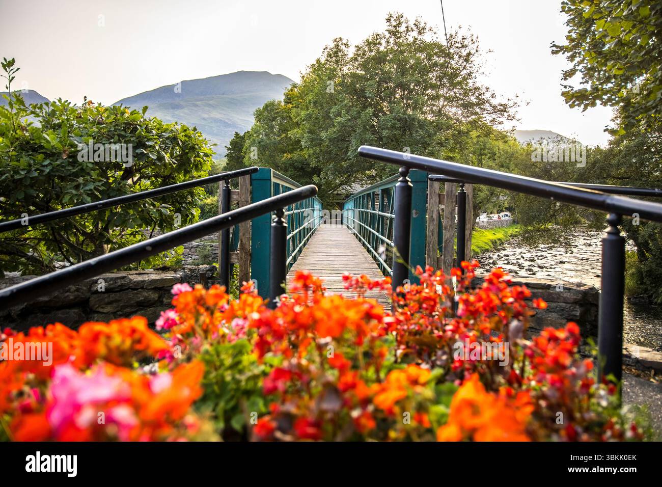 Beddgelert, pays de Galles - 5 septembre 2023 : Pont, rivière, fleurs, village parmi les paysages de montagne et il est plein de caractère et est riche en histoire Banque D'Images