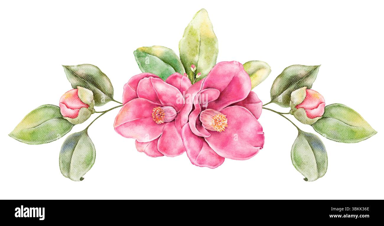Composition florale à l'aquarelle horizontale avec des camélias roses fleuris isolés sur blanc. Arrangement peint à la main idéal pour les cartes, invitations Banque D'Images