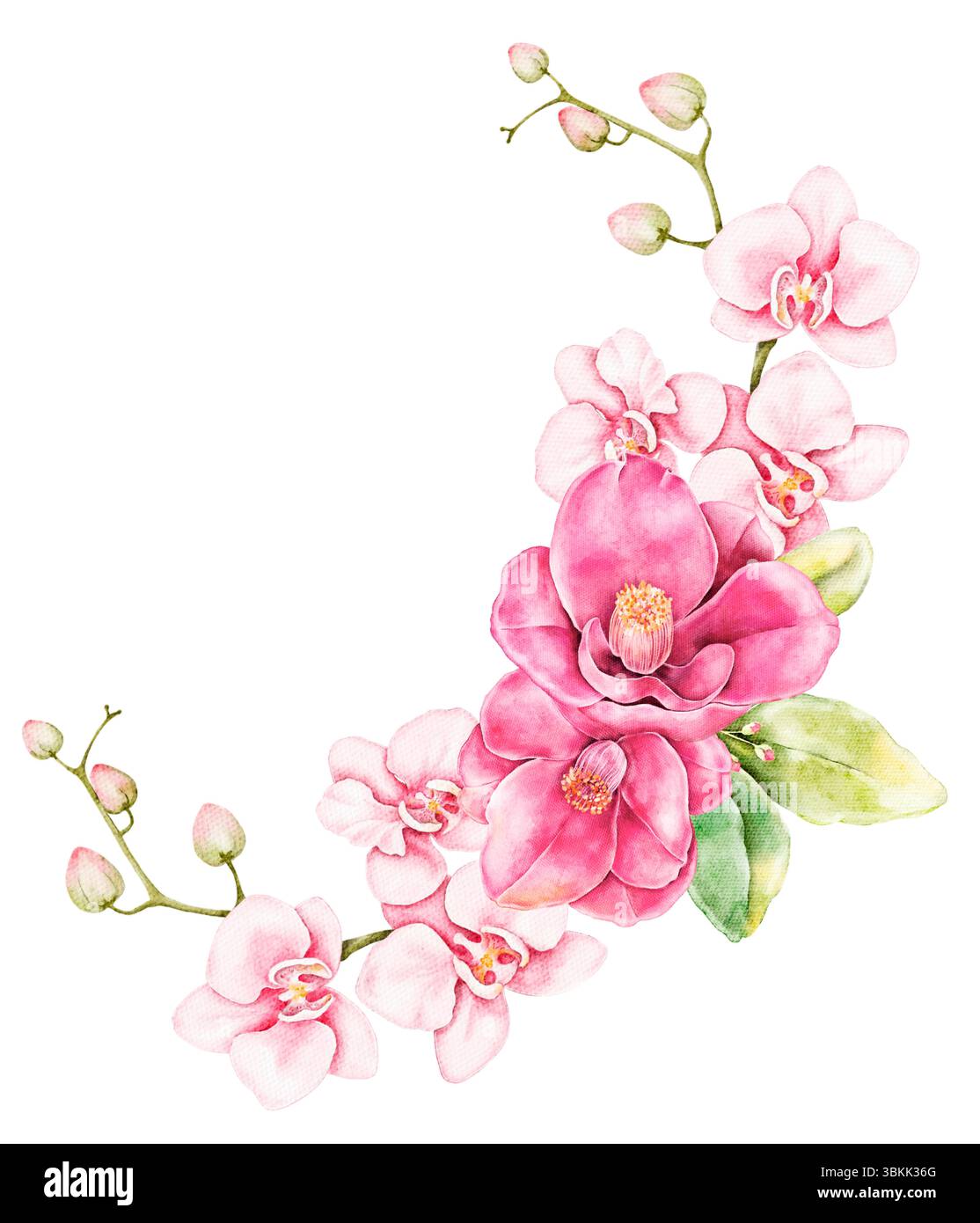 Composition de coin floral aquarelle avec camélias et orchidées dans des tons roses doux. Bouquet peint à la main parfait pour les invitations de mariage, conception d'impression Banque D'Images