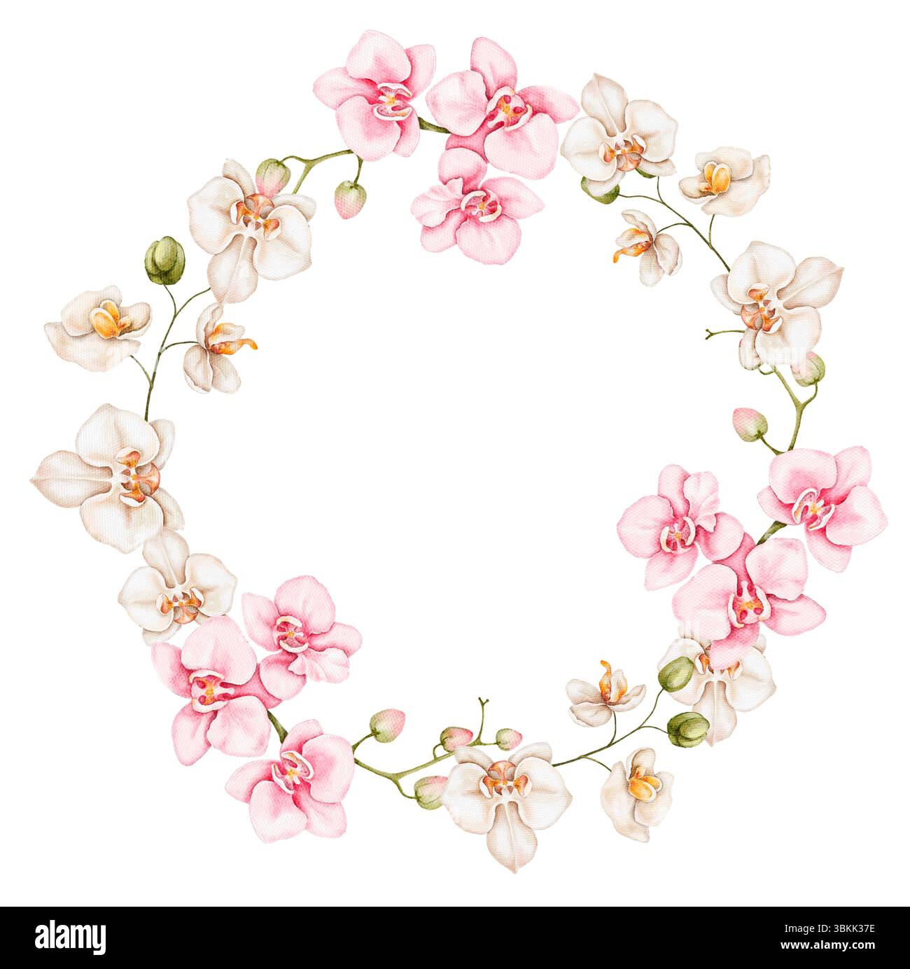 Couronne florale douce peinte à la main avec des orchidées roses blanches et douces et des feuilles vertes. Cadre aquarelle minimal et élégant parfait pour le papone de mariage Banque D'Images