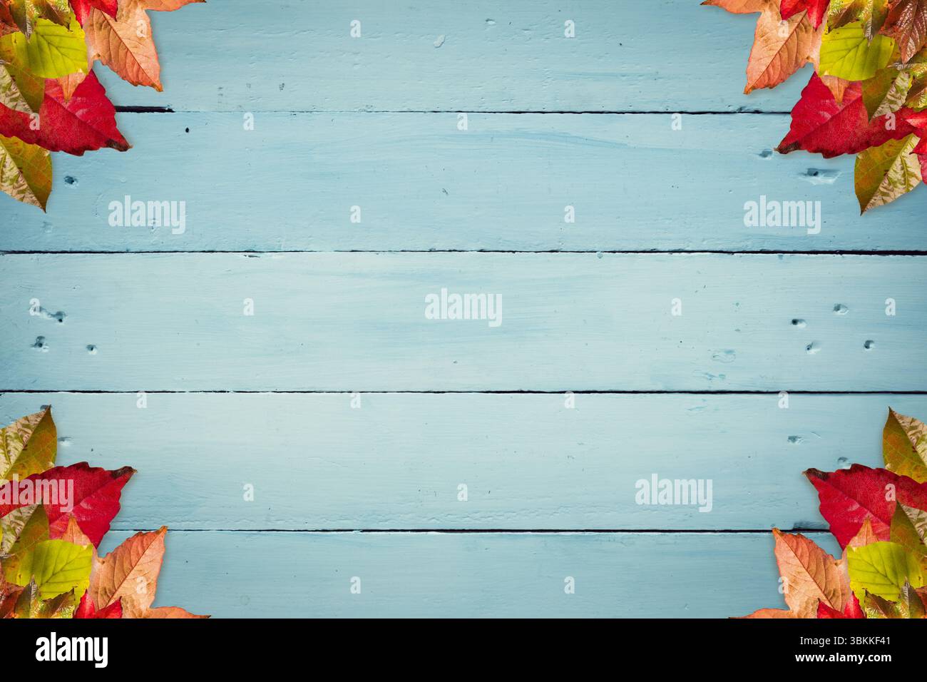 La toile de fond de planche en bois bleu est encadrée par des feuilles d'automne colorées dans un design plat, un espace de copie Banque D'Images