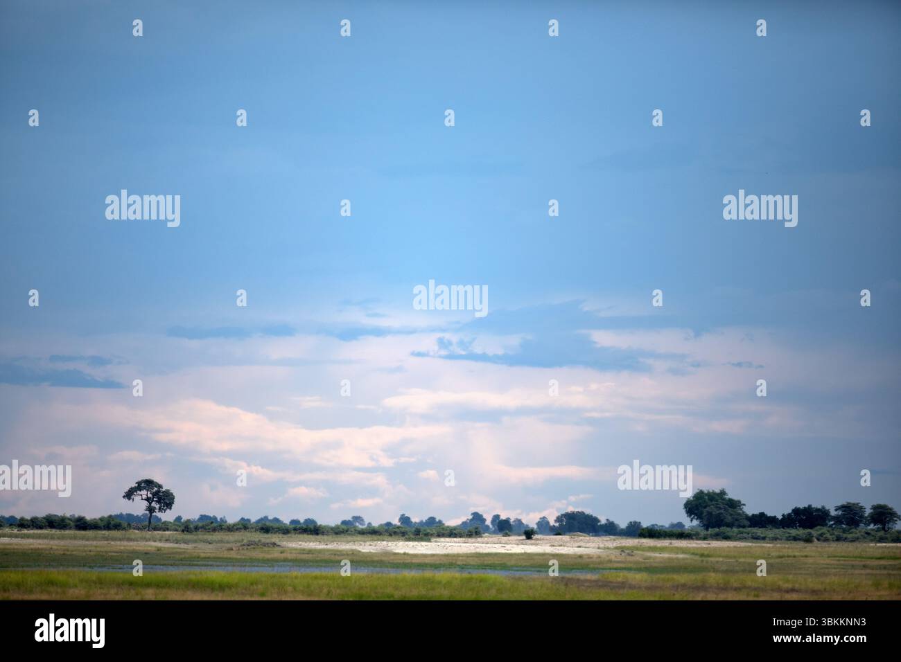 Un ciel bleu avec de beaux nuages sont vus au-dessus d'une savane africaine. Banque D'Images