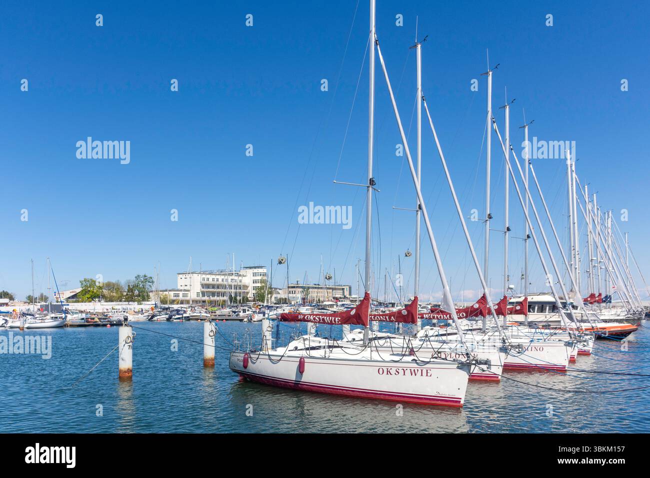 Yachts amarrés à Marina Gdynia, Kamienna Góra, ville de Gdynia, Voïvodie de Poméranie, République de Pologne Banque D'Images