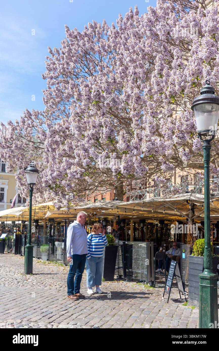 Restaurants en plein air, Lilla torg, Malmö, Province de Scania, Royaume de Suède Banque D'Images
