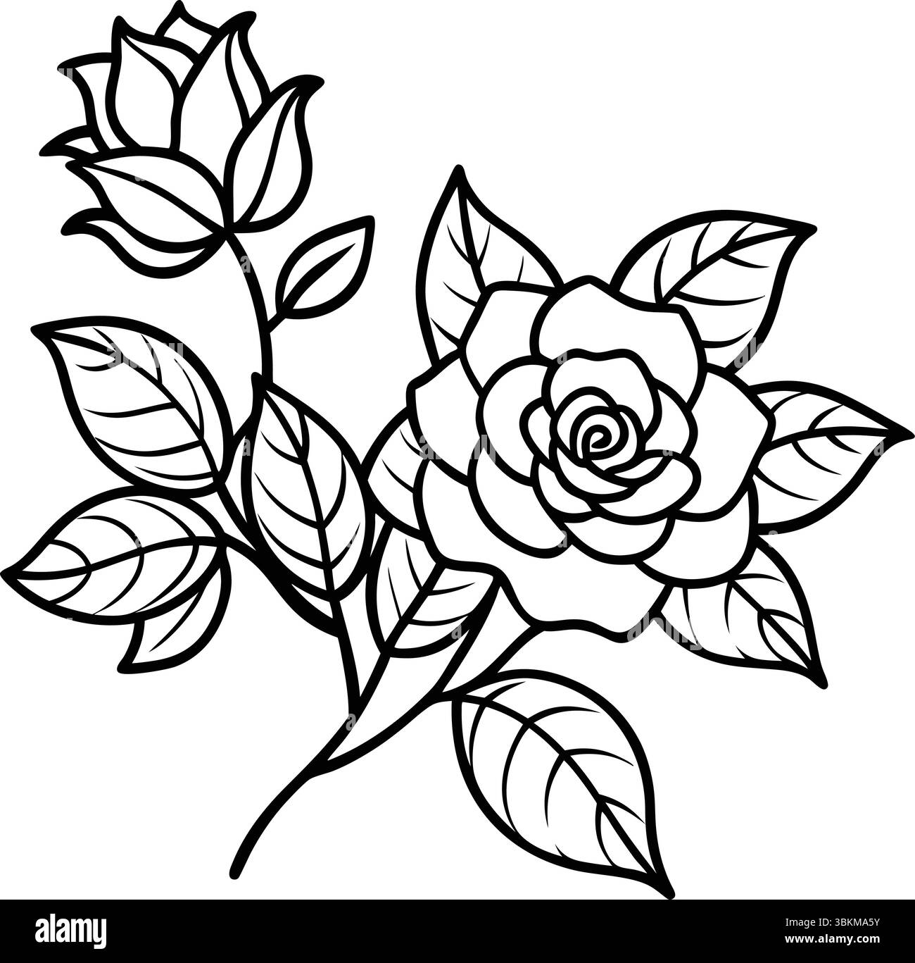 Dessin au trait de roses et de feuilles, illustration botanique, design floral noir et blanc Illustration de Vecteur