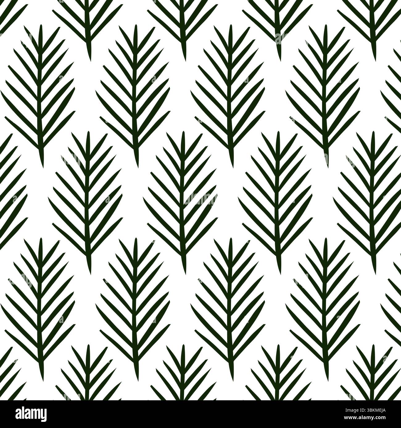 Motif sans couture de branche de pin. Illustration vectorielle d'encre de ligne graphique. Eléments botaniques floraux. Illustration vectorielle de ligne dessinée à la main. pour l'emballage, Illustration de Vecteur