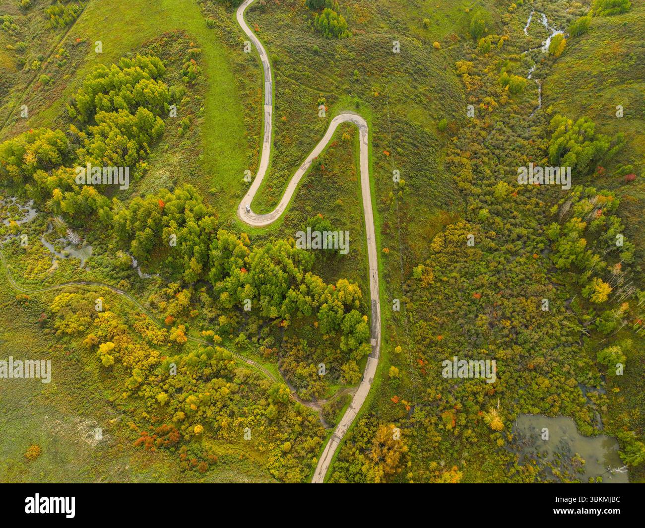 Une vue aérienne de haut en bas met en évidence une route sinueuse serpentant à travers des collines et des forêts ornées d'un feuillage automnal vibrant Banque D'Images