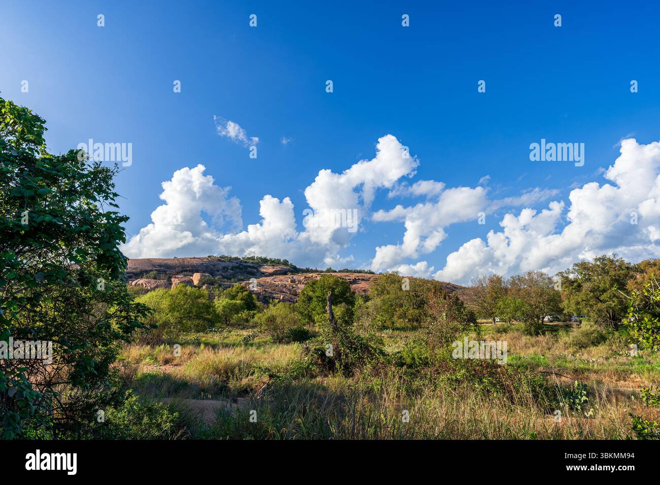 Vue panoramique de la zone naturelle d'Enchanted Rock State, Texas, États-Unis Banque D'Images