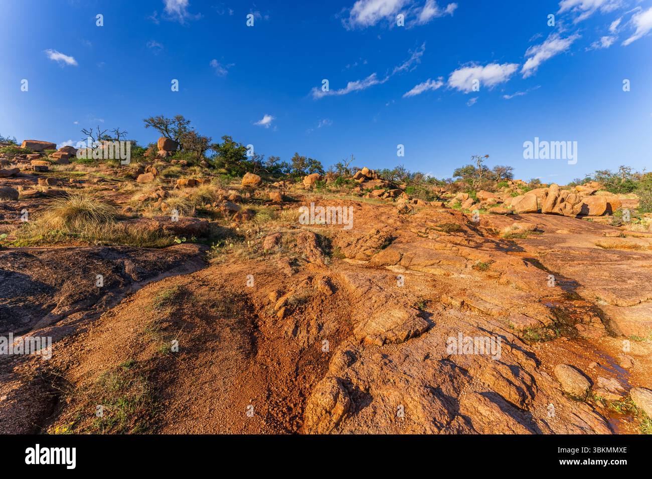 Vue panoramique de la zone naturelle d'Enchanted Rock State, Texas, États-Unis Banque D'Images